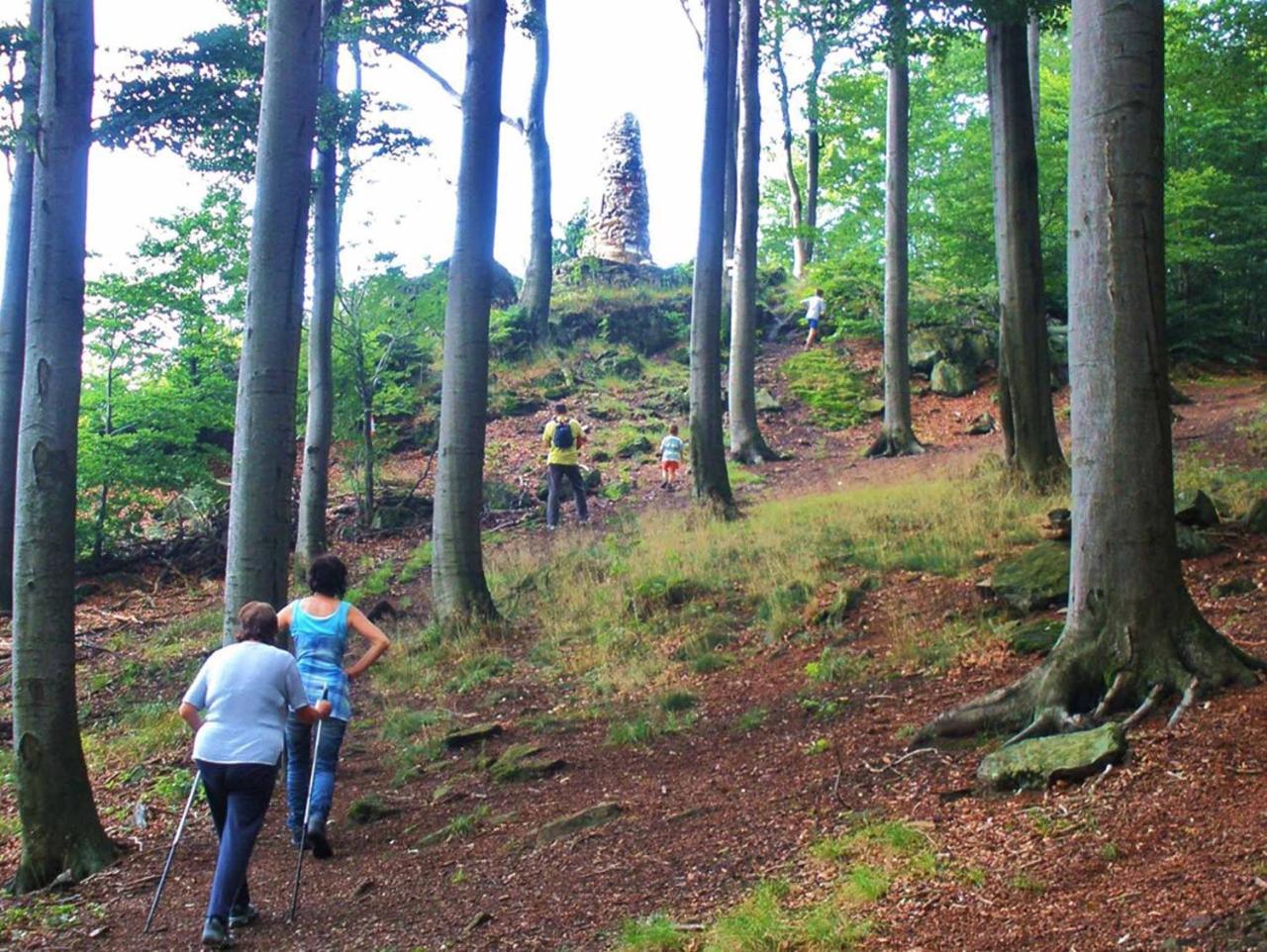Waldmünchen Ferienwohnungen Waldblick מראה חיצוני תמונה