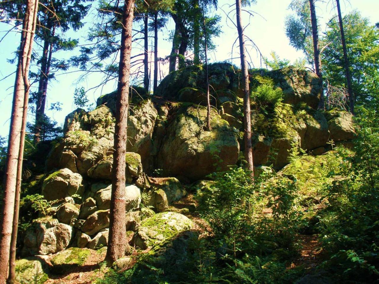Waldmünchen Ferienwohnungen Waldblick מראה חיצוני תמונה