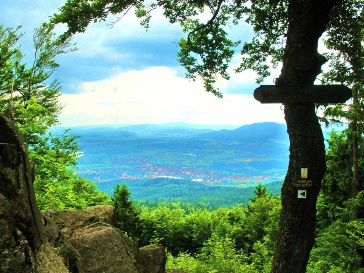 Waldmünchen Ferienwohnungen Waldblick מראה חיצוני תמונה